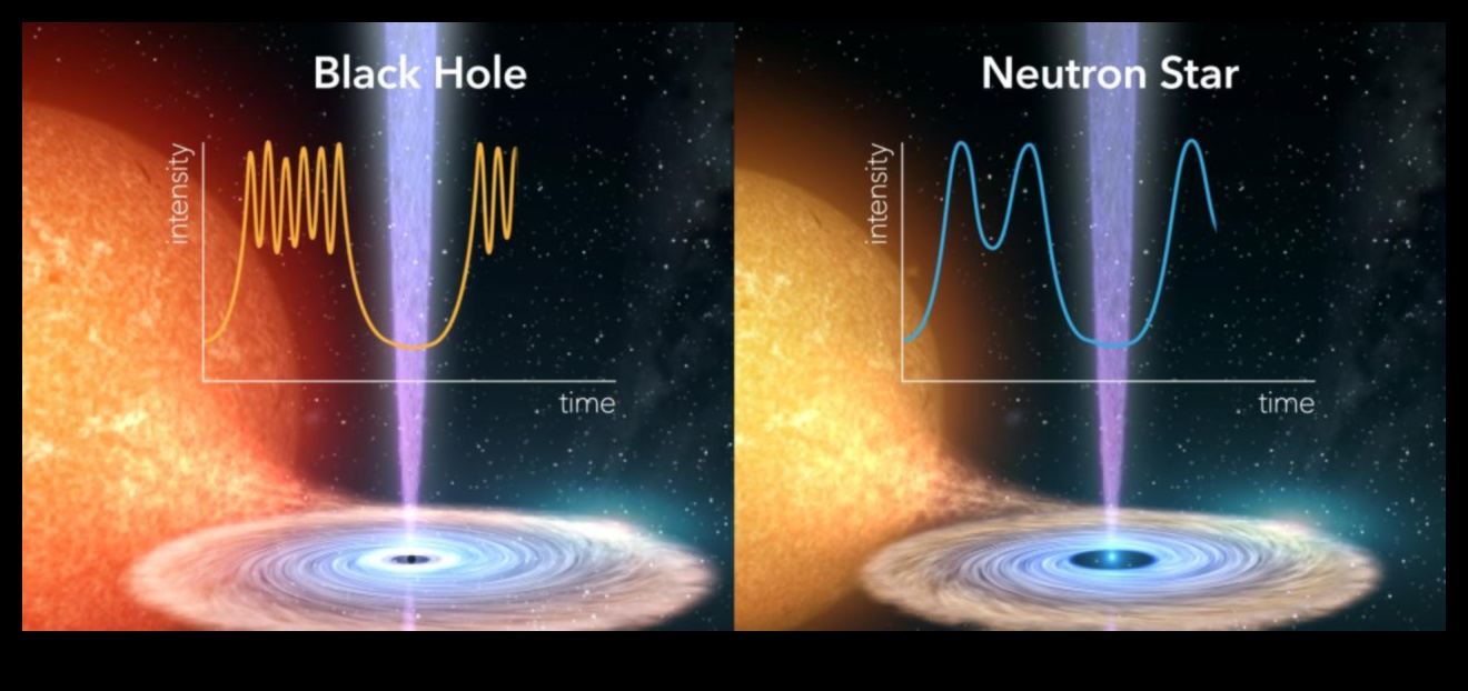 Neutron Star Chronicles: Adventures in the Heart of Astrophysical Densities