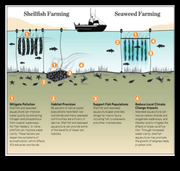 Αειφόρος Υδατοκαλλιέργεια: Υπεύθυνες Πρακτικές στην Ιχθυοκαλλιέργεια