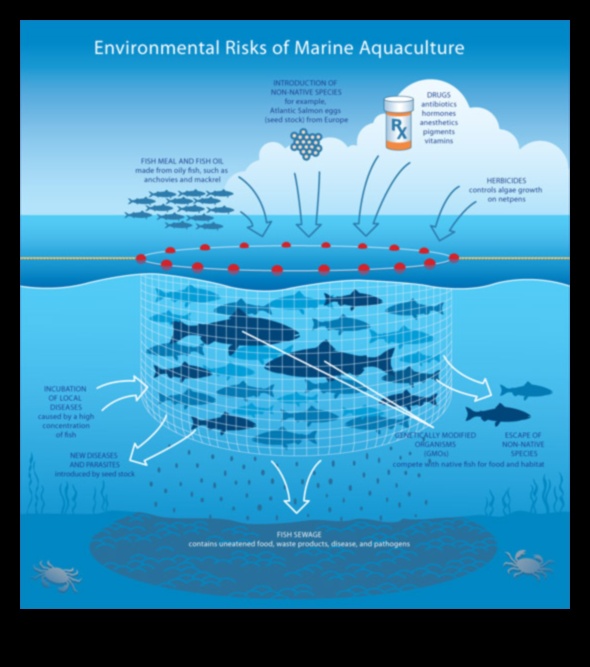 Αειφόρος Υδατοκαλλιέργεια: Υπεύθυνες Πρακτικές στην Ιχθυοκαλλιέργεια