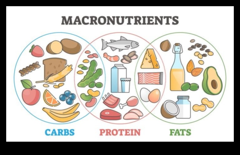 Το Βιοχημικό Σχέδιο Αποκωδικοποίησης των Μυστικών της Διατροφής 5 Το Βιοχημικό Σχέδιο: Κατανόηση της Διατροφής σε Μοριακό Επίπεδο