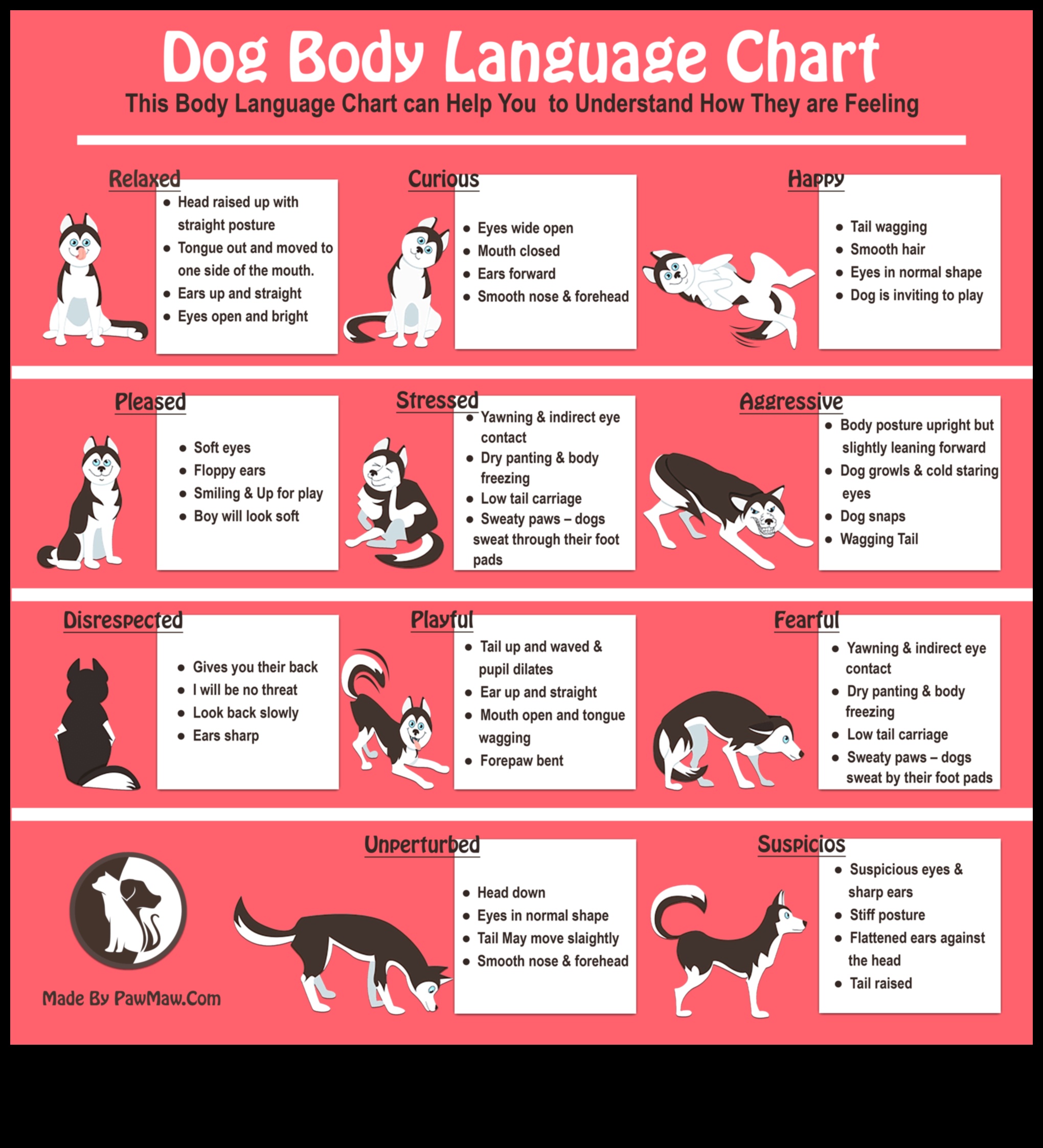 Doggy Discourse: Understanding Dog Body Language