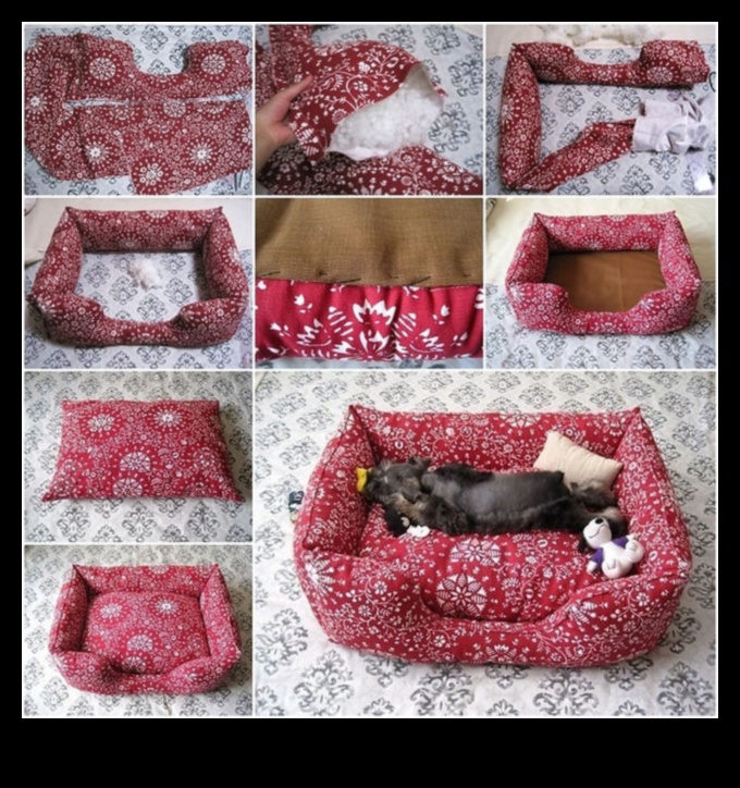 DIY Doggy κρεβάτια: Δημιουργία άνετων καταφύγια για το κουτάβι σας