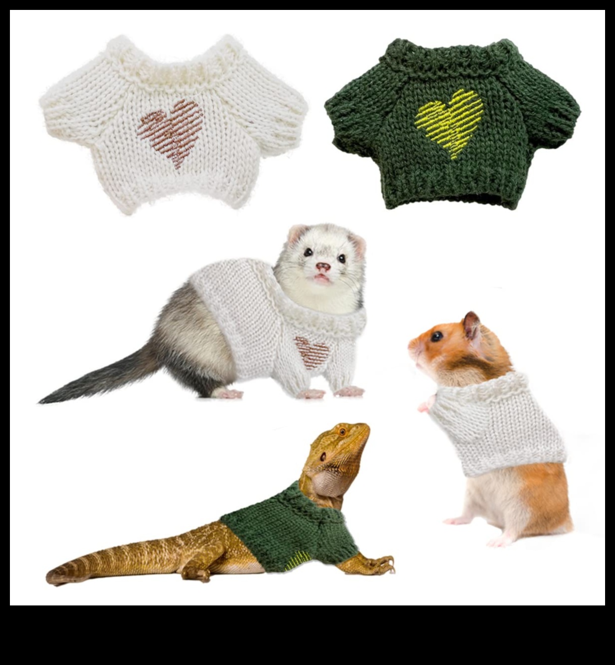 Τα κυριότερα σημεία χάμστερ Συνέχεια: Επεκτείνοντας τη λαμπερή γκαρνταρόμπα του μικρού τρωκτικού σας