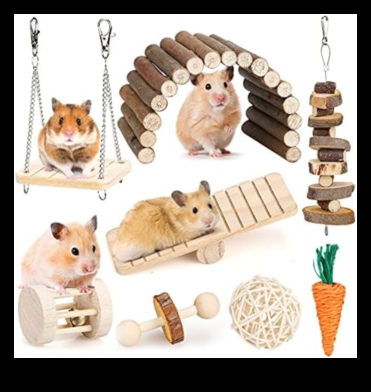 Τα κυριότερα σημεία χάμστερ Συνέχεια: Επεκτείνοντας τη λαμπερή γκαρνταρόμπα του μικρού τρωκτικού σας