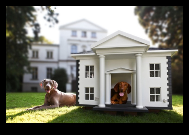 Barkitecture Brilliance: Μοναδικά και κομψά σχέδια σπιτιών για σκύλους