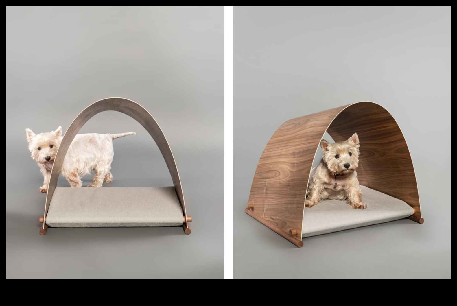 Barkitecture Brilliance: Μοναδικά και κομψά σχέδια σπιτιών για σκύλους