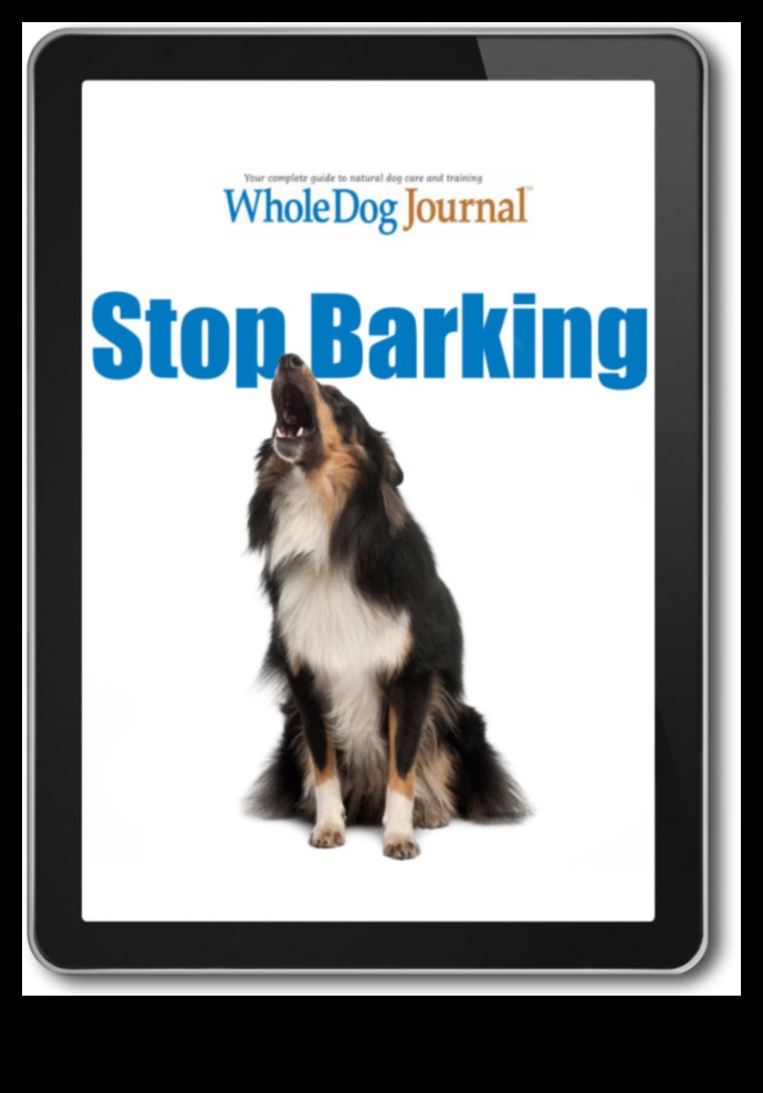 Βασικά γαβγίσματα: Κατανόηση και διαχείριση του υπερβολικού γαβγίσματος