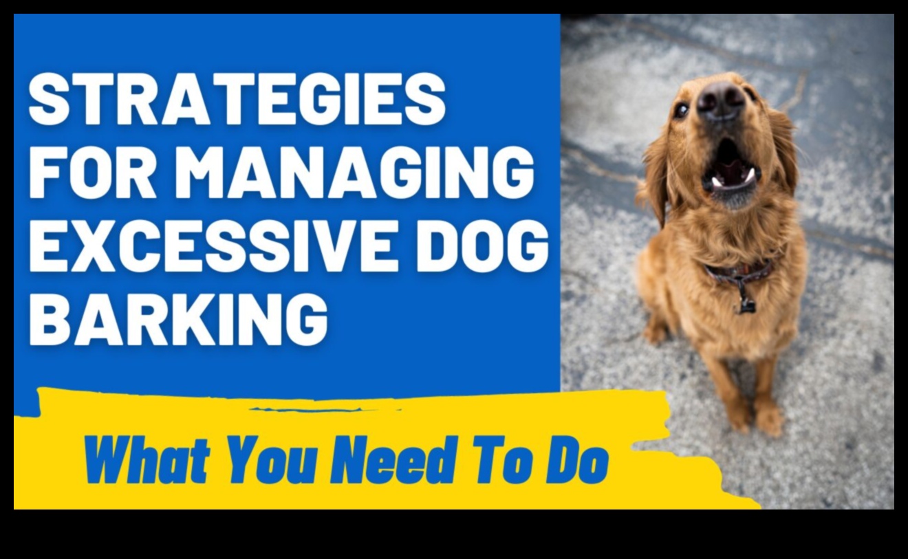 Βασικά γαβγίσματα: Κατανόηση και διαχείριση του υπερβολικού γαβγίσματος