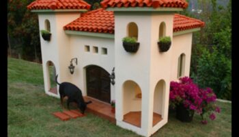Barkitecture Brilliance: Μοναδικά και κομψά σχέδια σπιτιών για σκύλους