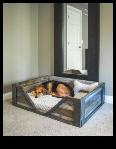 DIY Doggy κρεβάτια: Δημιουργία άνετων καταφύγια για το κουτάβι σας