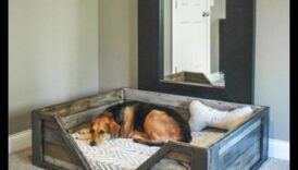 DIY κρεβάτια για οικόσιτα σκυλιά που εφευρίσκουν χαλαρός καταφύγια για το κατοικίδιο σας 6 DIY Doggy κρεβάτια: Δημιουργία άνετων καταφύγια για το κουτάβι σας