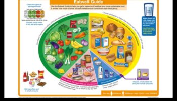 The ABCs of Nutritional Value: A Comprehensive Approach