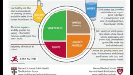 The Balanced Plate: Γηριατρική Διατροφή για Υγιεινή Ζωή