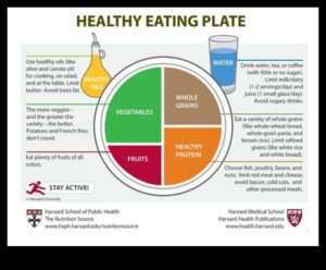 The Balanced Plate: Γηριατρική Διατροφή για Υγιεινή Ζωή