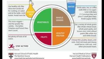The Balanced Plate: Γηριατρική Διατροφή για Υγιεινή Ζωή