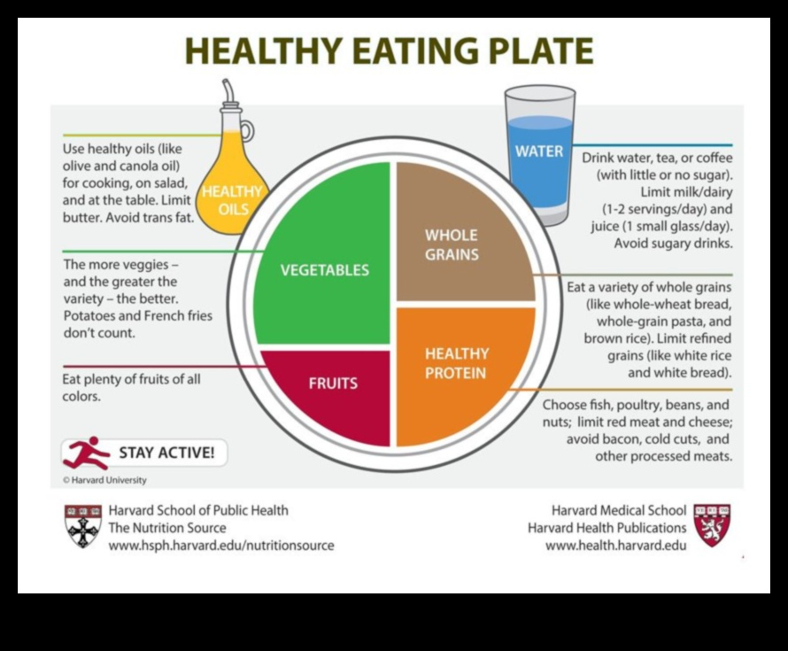 The Balanced Plate: Γηριατρική Διατροφή για Υγιεινή Ζωή