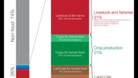 The Deficiency Dialogue: Conversations on Nutritional Gaps