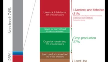The Deficiency Dialogue: Conversations on Nutritional Gaps