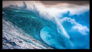 Social Surge: Navigating Waves of Success in Digital Management