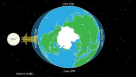 Cosmic Gravitation: The Dance of Celestial Bodies in Space