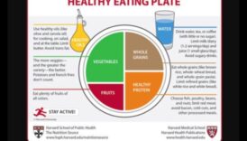 Healthy Communities, Healthy Plates: Public Health Nutrition Blueprint