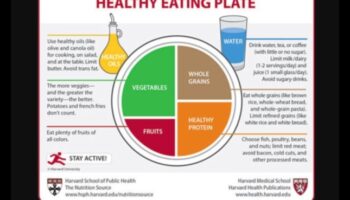 Healthy Communities, Healthy Plates: Public Health Nutrition Blueprint